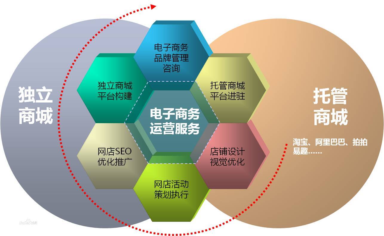 電子商務運營服務指南 從入門到精通