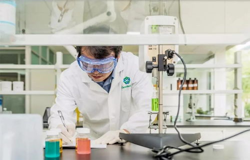 綠葉上?？蒲兄行某闪芍苣?技術研發譜寫高質量發展新篇章